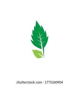 Icono de la hoja de naturaleza e ilustración del vector de símbolo