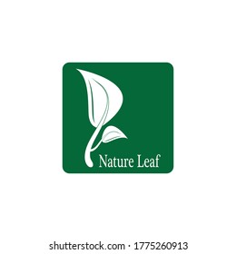 Nature leaf icon and symbol vector illustration