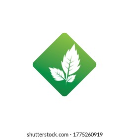 Nature leaf icon and symbol vector illustration