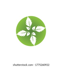 Nature leaf icon and symbol vector illustration