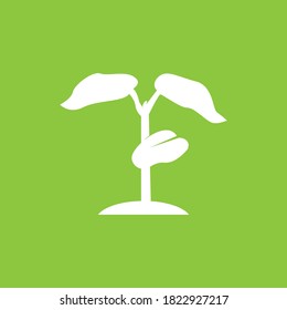 Icono de la hoja de naturaleza e ilustración del vector de símbolo