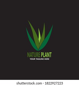 Nature leaf icon and symbol vector illustration
