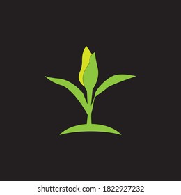 Icono de la hoja de naturaleza e ilustración del vector de símbolo