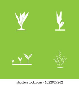Nature leaf icon and symbol vector illustration