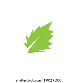 Nature leaf icon and symbol vector illustration