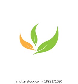 Nature leaf icon and symbol vector illustration