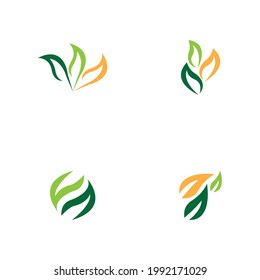 Nature leaf icon and symbol vector illustration