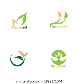 Nature leaf icon and symbol vector illustration