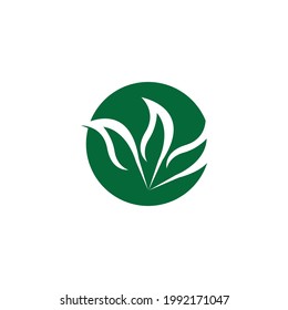 Nature leaf icon and symbol vector illustration