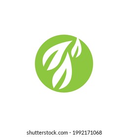 Nature leaf icon and symbol vector illustration