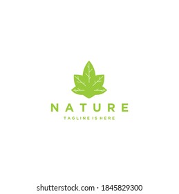 Nature Leaf Icon Vector Illustration