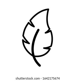 Nature leaf icon vector sign and symbol on trendy design