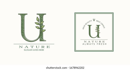 Nature Leaf Initial U Letter Logo,  Vector design concept botinical for business indentity