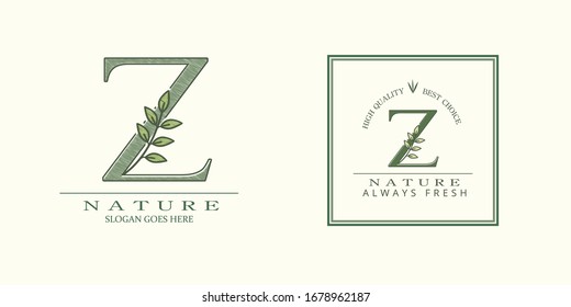 Nature Leaf Initial Z Letter Logo,  Vector design concept botinical for business indentity