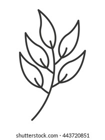 nature leaf  isolated icon design