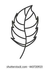 nature leaf  isolated icon design