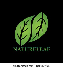 nature leaf logo
