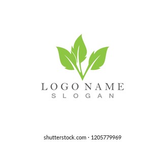 Nature Leaf Logo