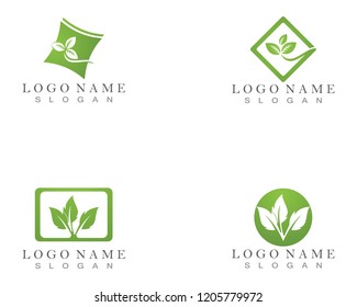 Nature Leaf Logo