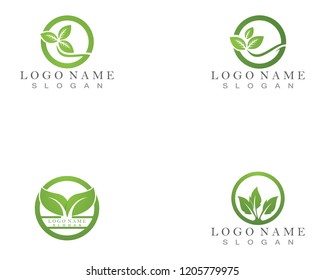 Nature Leaf Logo