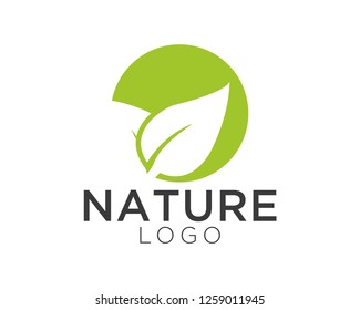 nature leaf logo