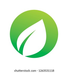 nature leaf logo