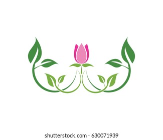 Nature Leaf Logo