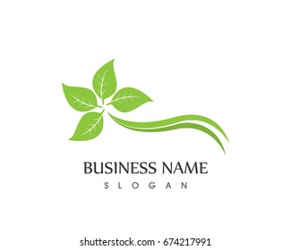 Nature Leaf Logo