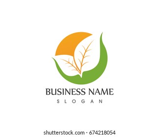 Nature Leaf Logo