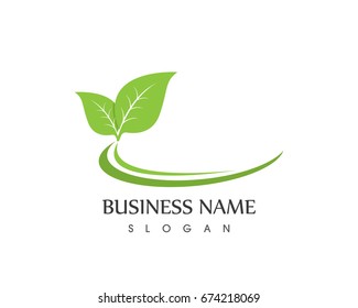 Nature Leaf Logo