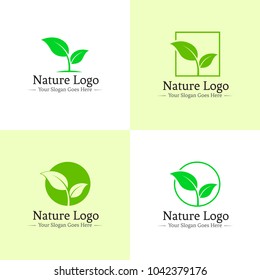 Nature Leaf Logo Concept