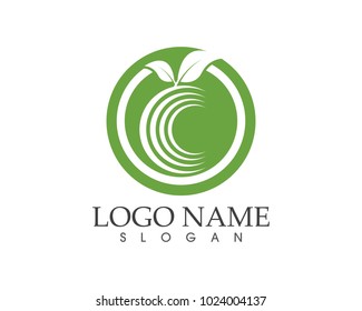 Nature leaf logo design