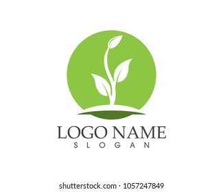 Nature leaf logo design concept