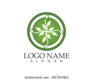 Nature leaf logo design concept