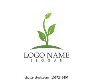 Nature leaf logo design concept