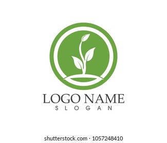 Nature leaf logo design concept