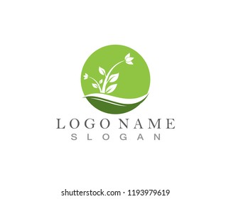 Nature leaf logo design concept