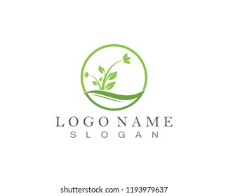 Nature leaf logo design concept