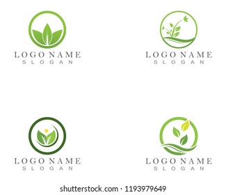 Nature leaf logo design concept