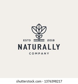 Nature leaf logo design concept. Universal leaf design.