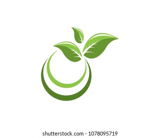 Nature leaf logo design template