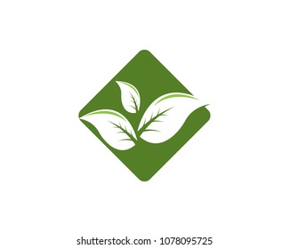 Nature leaf logo design template