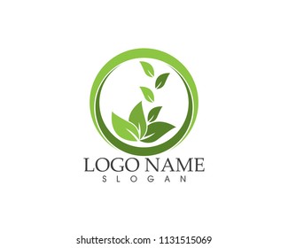 Nature leaf logo design template
