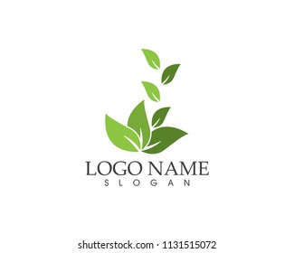 Nature leaf logo design template