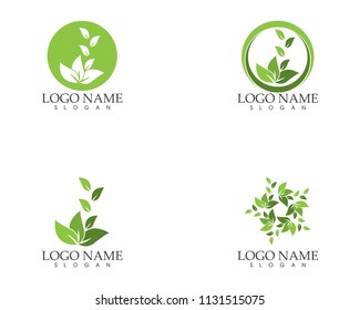 Nature leaf logo design template