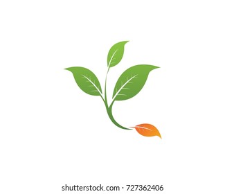 Nature leaf logo design template