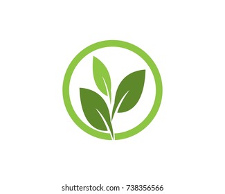 Nature leaf logo design template