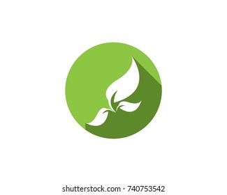 Nature leaf logo design template