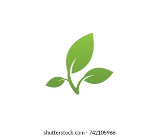 Nature leaf logo design template