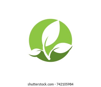 Nature leaf logo design template